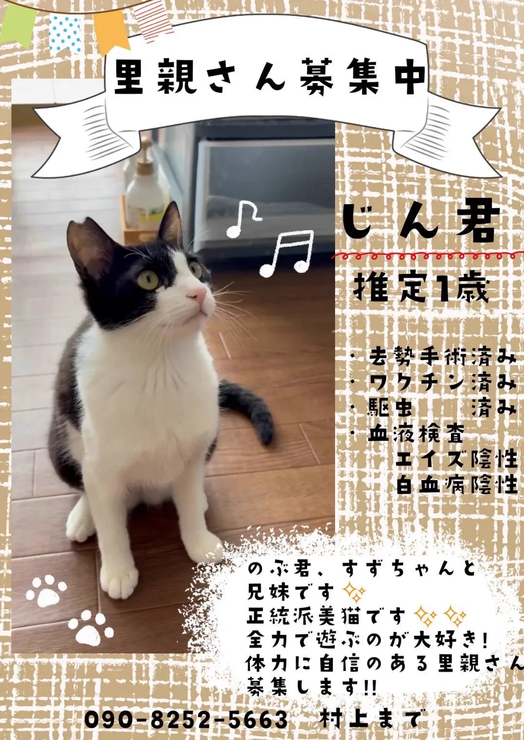 NPO法人 もりねこ on X: 