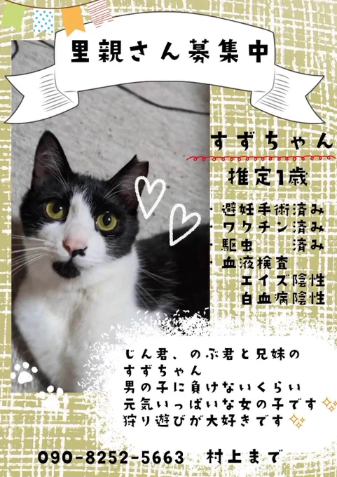 NPO法人 もりねこ on X: 