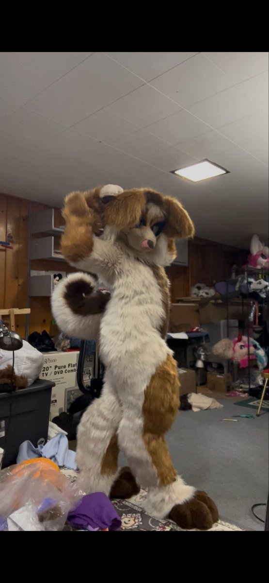 Keefermaws's tweet photo. This bitch (female dog reference) has a body!! now it’s time for her new head 🐶 https://t.co/3PW0TMDqR8