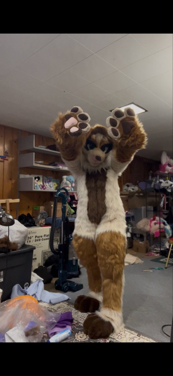 Keefermaws's tweet photo. This bitch (female dog reference) has a body!! now it’s time for her new head 🐶 https://t.co/3PW0TMDqR8