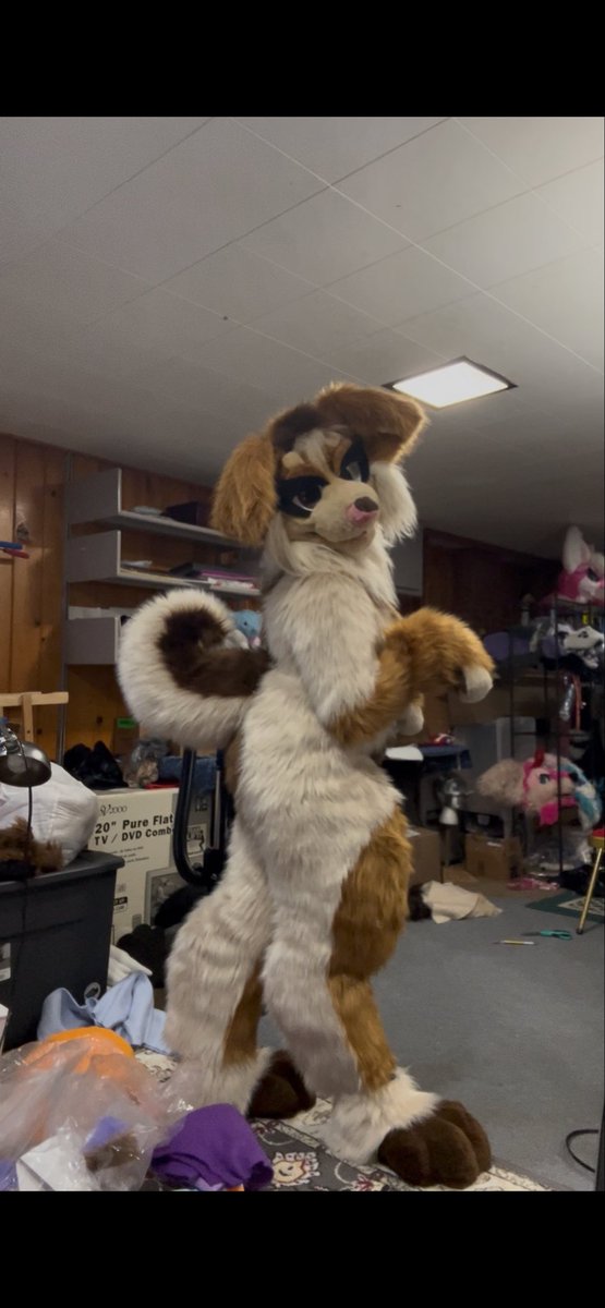 Keefermaws's tweet photo. This bitch (female dog reference) has a body!! now it’s time for her new head 🐶 https://t.co/3PW0TMDqR8