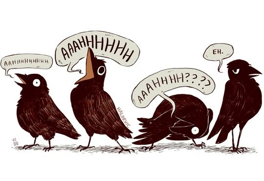 Crow tweet media