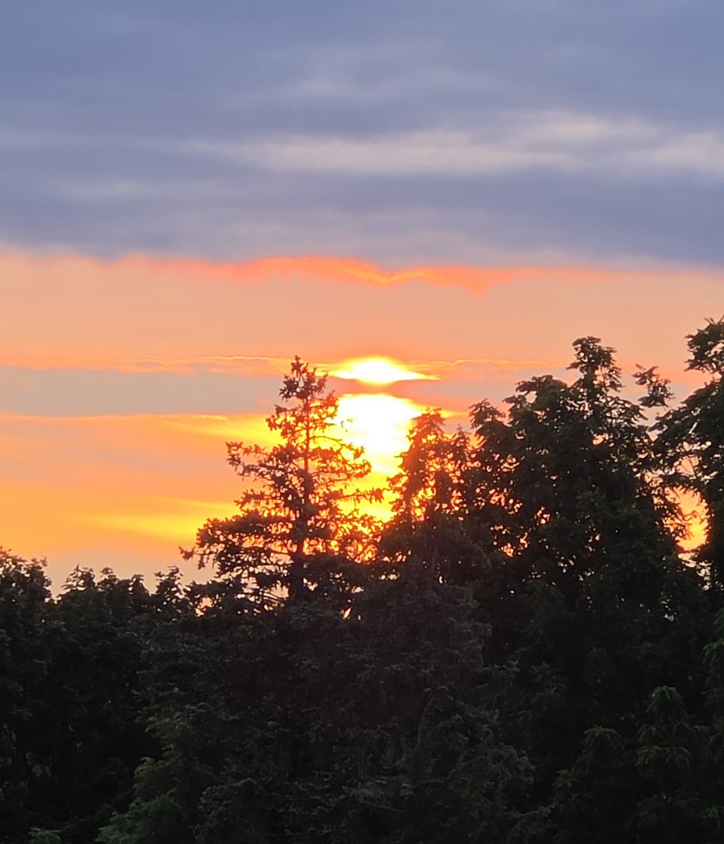 Heather38404643's tweet photo. Goodnight have a peaceful evening evening 😴 💛 https://t.co/yvZjmdxIq3
