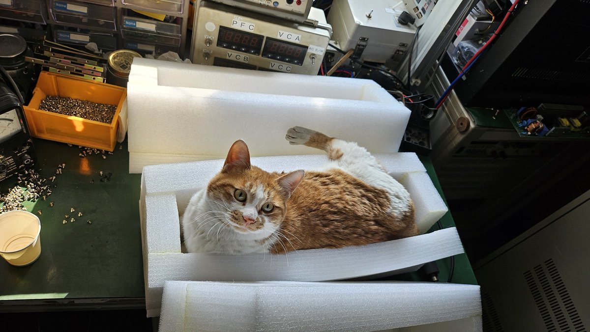 mooonriseee's tweet photo. 갈아주지도 않아서 필터에 벌레가 가득했습니다. 밥그릇은 말할것도 없었구요... 그래서 모찌가 너무 딱해서 제가 케어하기 시작했었습니다.
그게 벌써 1년반 전이네요...
저는 이미 집에 16살 고양이와 11살 강아지가 있습니다. 심지어 고양이는 암투병중이에요. 그래서 저는 모찌를 데려올수가 없습 https://t.co/WOnjVVxnlX