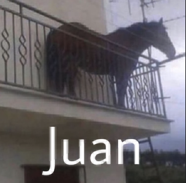 DesignIsPassion's tweet photo. Juan. https://t.co/ky6EevkH01