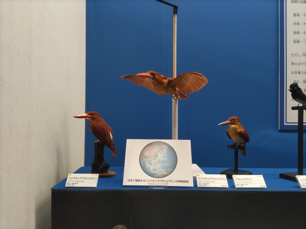 開田風童　とんぼとり 開田風童 とんぼとり 開田風童（Fudou Kaida）作品一覧 :: 絵画買取