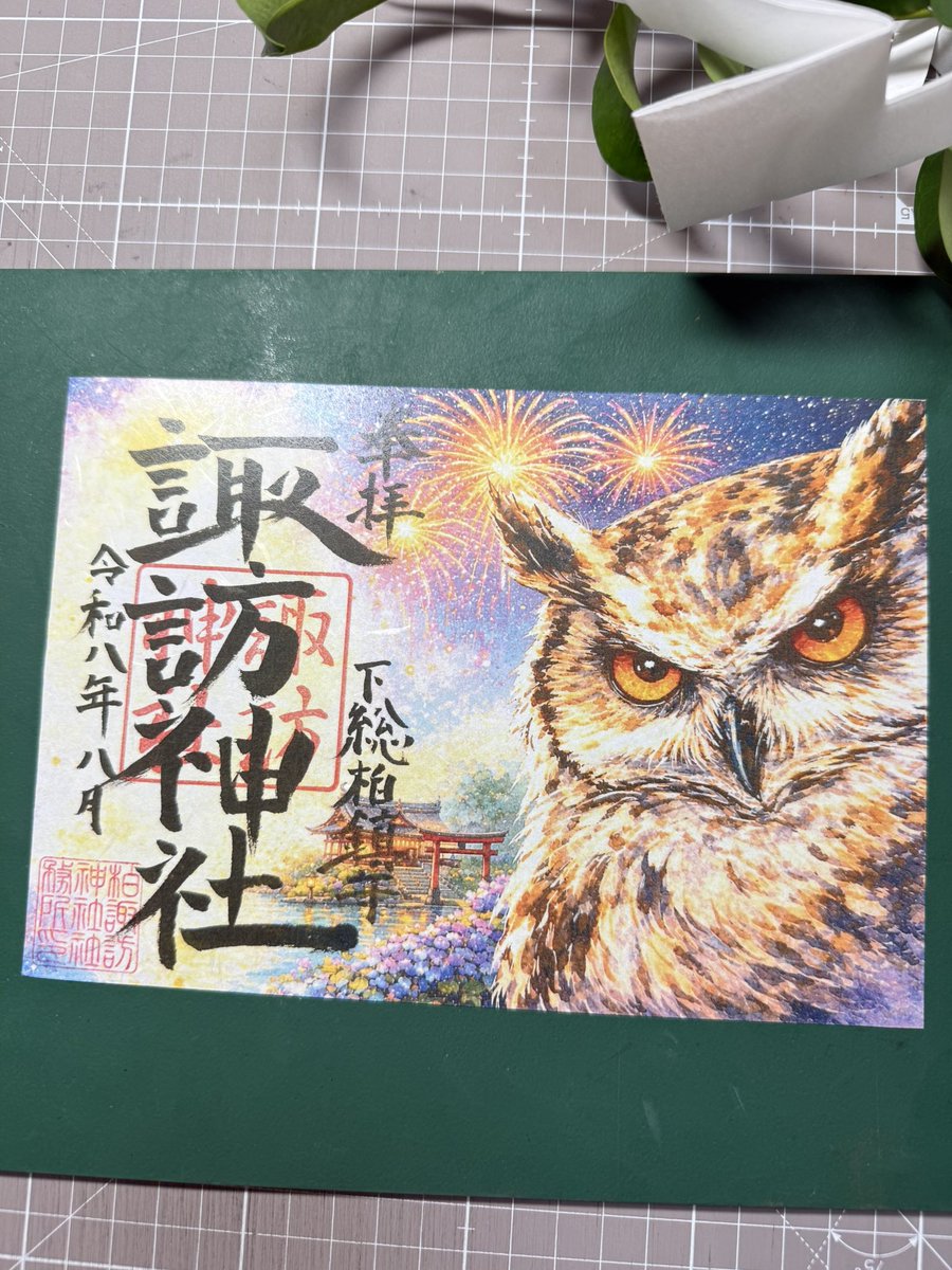 Kei's Bromeliads & 柏諏訪神社 tweet media