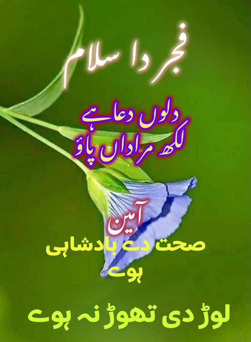 Iqb9786's tweet photo. ﷽
السلام علیکم ورحمۃ اللہ وبرکاتہ
#خاتم_النبیین_محمدﷺ
︗︗︗︗︗︗︗︗︗︗︗︗︗︗
📚📜 صباح الخیر 📜📚​       
          ︘︘︘︘︘︘︘︘︘
مشورہ بہت سستاہے ایک سےمانگو دس لوگ دیں گےاورمددمہنگی ہےدس سےمانگو توکوئی ایک دیتاہے

ھمیشہ خوش رہیں
خوشیاں بانٹیں
آمین🤲
#X_promo https://t.co/EHQrxB4NX2