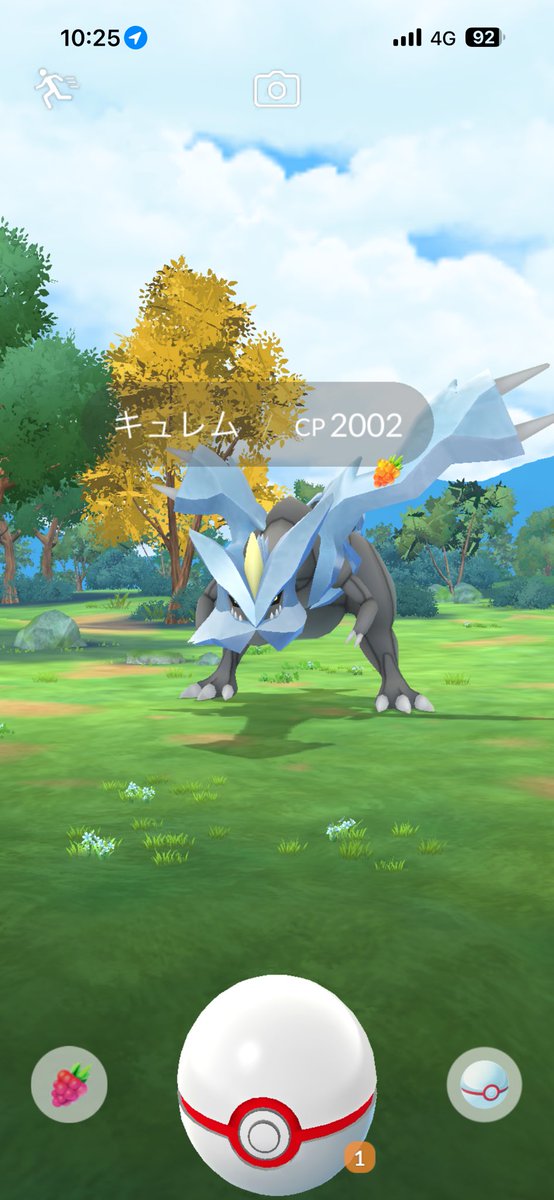 OG_DQW's tweet photo. つらい。
白いボール足らんのですが…

#PokémonGO
#ポケモンGO
#ポケゴー https://t.co/IYxRDmt4k6