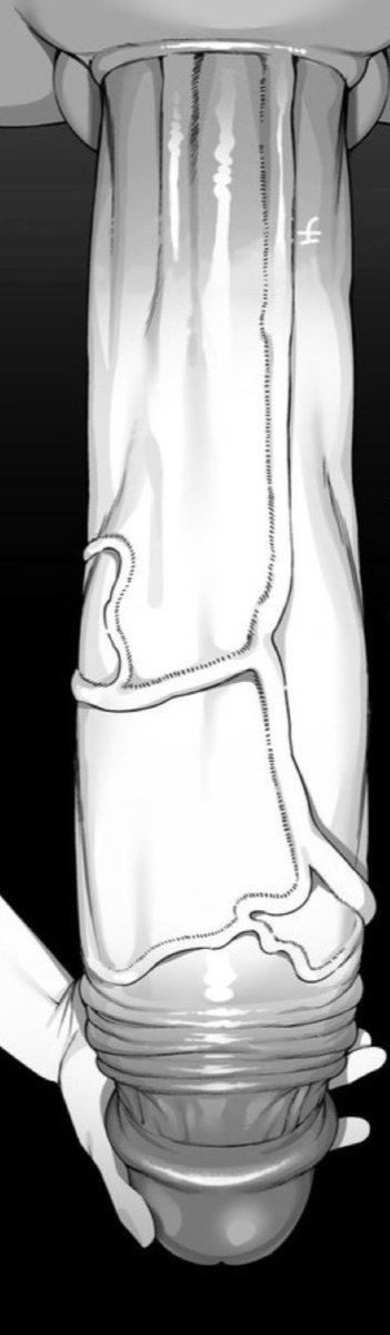 Heart_Of_ORT's tweet photo. Kukulkan just smiled at the sight of the Caster's body as she ripped the bit of clothing away.

"It does."

She pulled down her own boxers to show off that cock of hers in full view,

"Now spread those legs so I can get to work, but don't blame me if you get too addicted ~" https://t.co/dYSieNwtSR