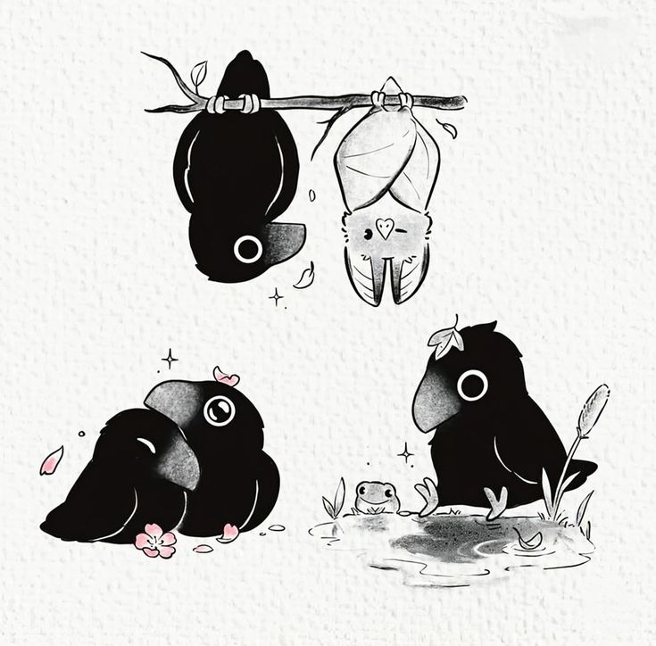 ☆CROW☆♡ Crow stickers 😊