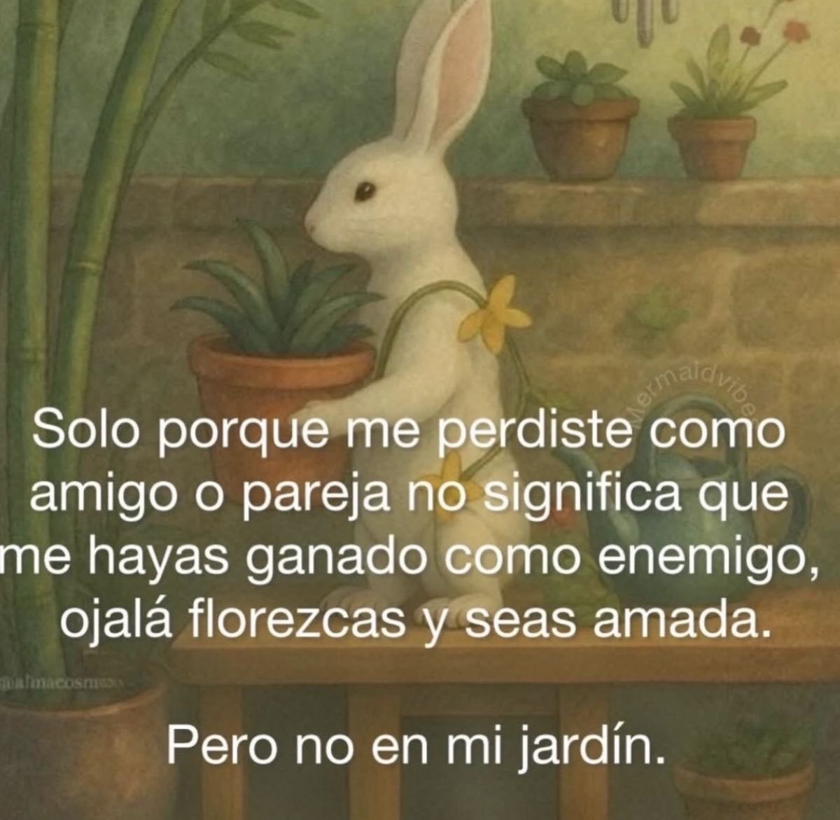FraseSimple's tweet photo. https://t.co/8E3UUfFElJ