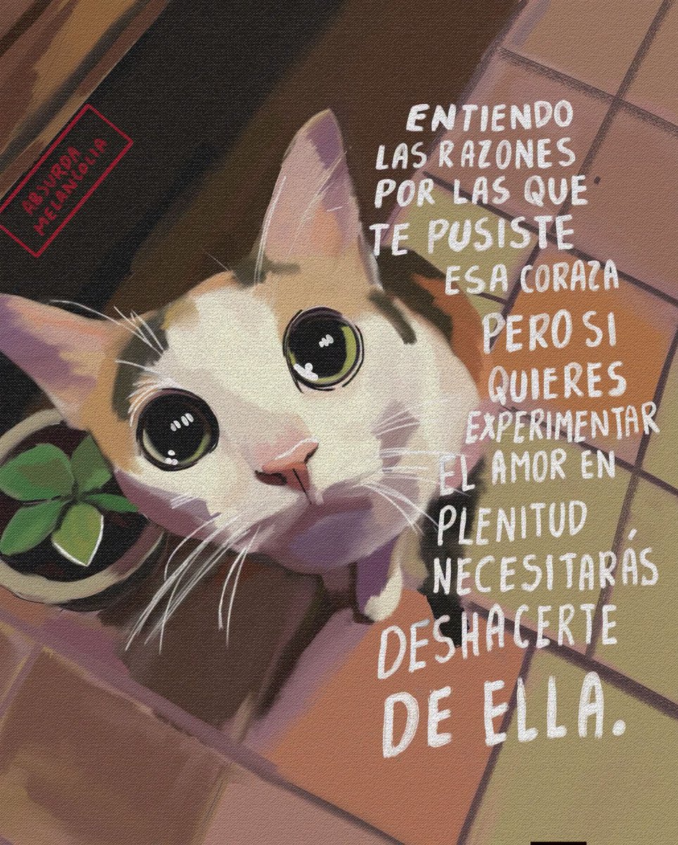 absurdamela's tweet photo. https://t.co/23fkL7IPLx