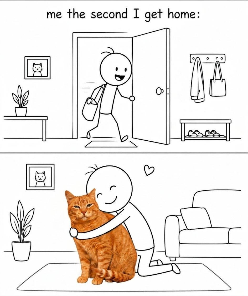 Thepetsonly's tweet photo. Everyday 🙀 https://t.co/rAUBzIk0td