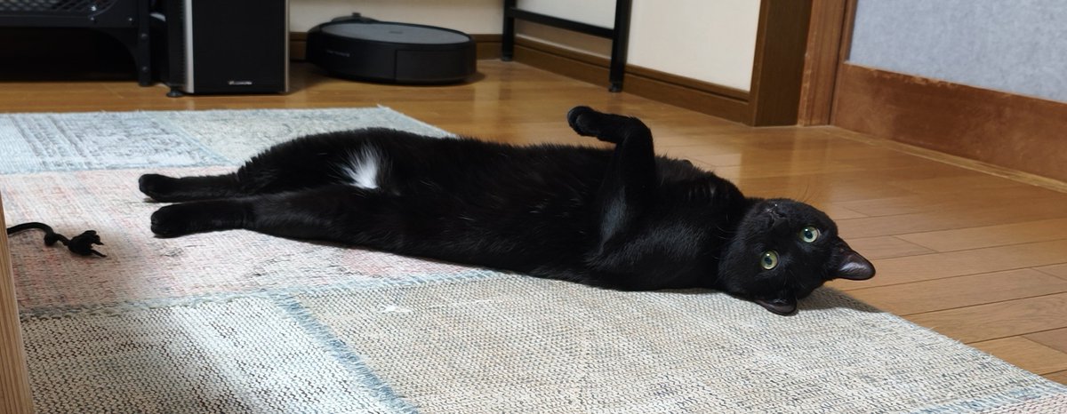 hachi2mitu's tweet photo. 暇そう https://t.co/nLzaxhAT83