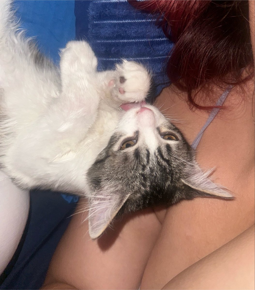 naerxby's tweet photo. late update but, she’s mine now 🥰 https://t.co/RWTPx9Fa0x