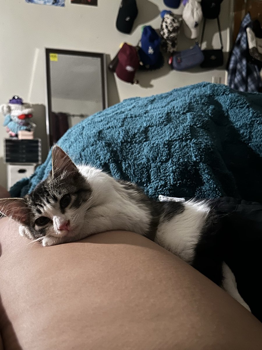 naerxby's tweet photo. late update but, she’s mine now 🥰 https://t.co/RWTPx9Fa0x