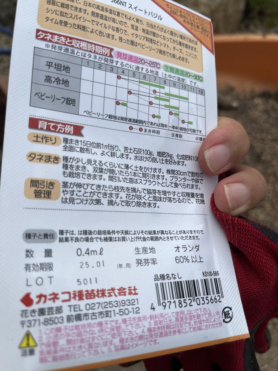 KOHsROOM's tweet photo. タネが出てきたんよなー

どこ行っててかわからなくなってたやつや

もう無理か？時期も微妙かな？ https://t.co/eCdEQFKfTf