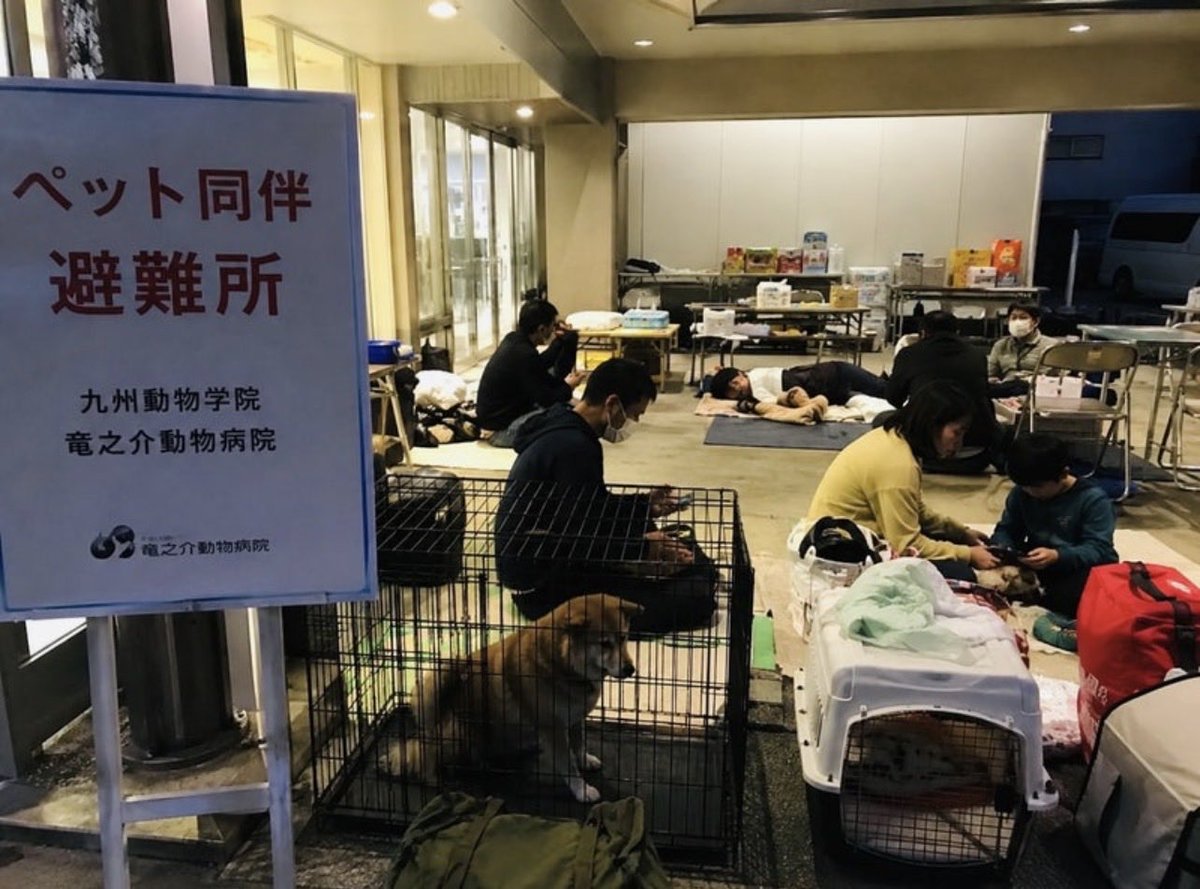 aya_sugimoto719's tweet photo. このたびの熊本地震により、被災された皆様に心よりお見舞い申し上げます。

昨年12月、熊本で講演をさせていただいた際に、竜之介動物病院を訪ねました。

10年前の熊本地震では、病院を避難所として開放し、多くの被災者の方々が犬や猫という大切な家族と共に避難されたこと、その際の設備や受け入れ体制、そして災害時における動物との同伴避難への取り組みについて、お話を伺い、多くのことを学ばせていただきました。その真摯な活動に深く感銘を受けたことを、今でも鮮明に覚えています。

しかし今回、再び熊本が大きな地震に見舞われ、竜之介動物病院には、すでに多くの方が犬や猫と共に避難されているそうです。

現時点では不足している物資はないとのことですが、避難生活が長引いたり、今後さらに大きな余震などが発生した場合には、新たな支援が必要になる可能性もあります。

私自身も昨日、大阪・ABCラジオの生放送中、高層階にいたため大きな揺れを感じ、とても驚きました。

震源地が熊本だと知った瞬間、10年前の熊本地震のことが思い出されました。

当時、家を失った高齢の方が愛犬と共に京都へ避難されたものの、犬と一緒であることを理由に、被災者向け住宅への入居がなかなか認められなかったケースもありました。

災害が起きたとき、動物と暮らす人たちが安心して避難し、その後の生活まで支えられる体制が、今どれだけ整えられているのか、とても気がかりです。

まずは、竜之介動物病院からの発信を見守りながら、必要な支援が生じた際には、私自身もできることを考え、行動したいと思います。

もちろん、必要な支援があれば、Evaとしても協力したいと思います。

被災された皆様と、共に暮らす動物たちの安全が守られ、これ以上被害が広がらないことを心より願っております。

動物病院 徳田竜之介オフィシャルブログ
　　↓↓↓
https://t.co/fBAy4UYnmY