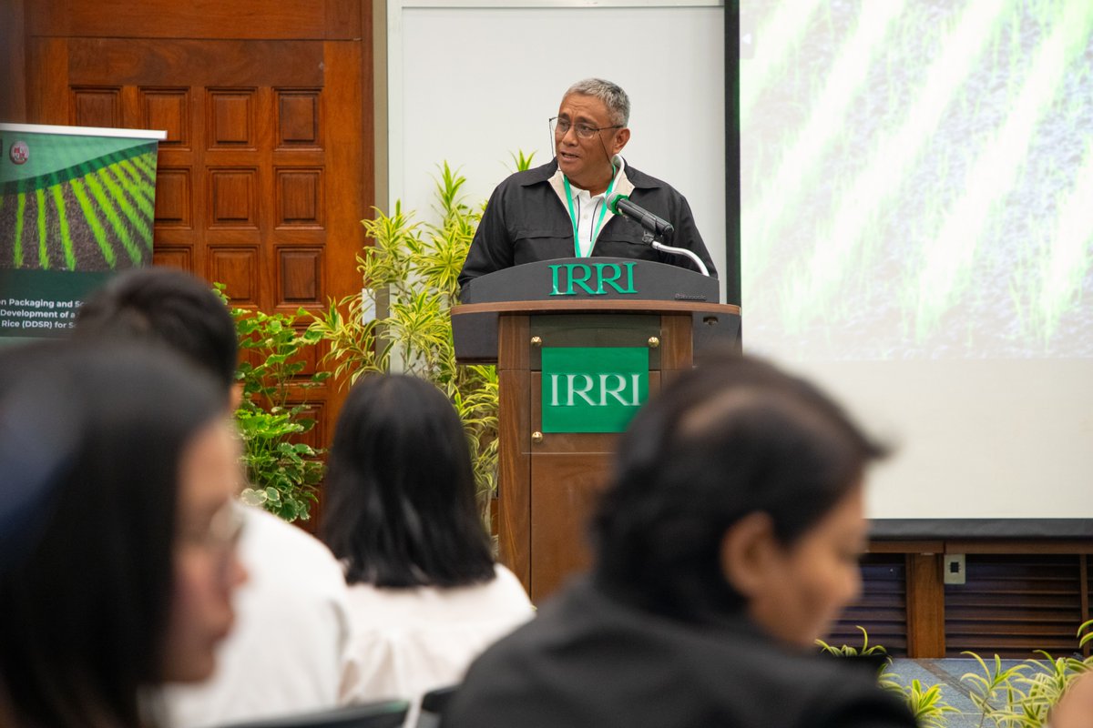 IRRI 🌾 tweet media