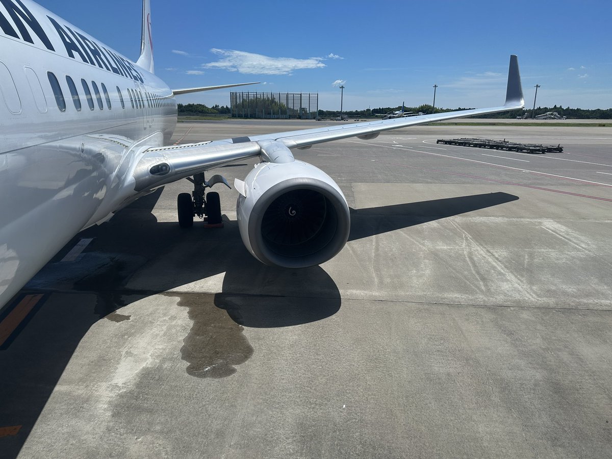 tohme76's tweet photo. Now boarding!!✈️
FLT No : JL3083
DEP : NRT
ARR : NGO
A/C Reg : JA320J
A/C Type : B737-800

2026年FLT回数カウント : 13

#たっつーFLT_LOG https://t.co/2nTQtaS8UZ
