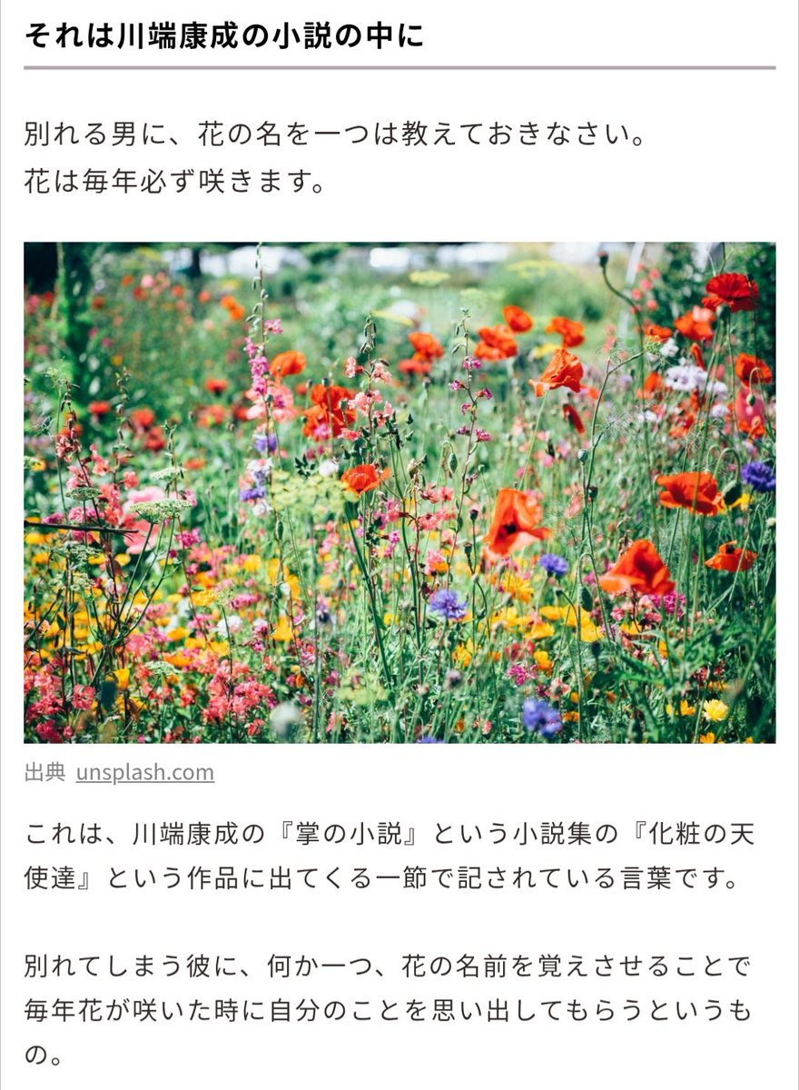 aimiotmgkr's tweet photo. これあまりにもひらきよにとっての金木犀に当てはまるな https://t.co/HGJFpqIVo5