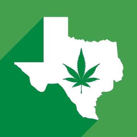 SaycheeseDGTL's tweet photo. Texas officially bans Delta-8 THC &amp; other intoxicating cannabinoids starting July 31 after court ruling. 

CBD products that are non-intoxicating generally remain legal https://t.co/sLzEN8Bmxx