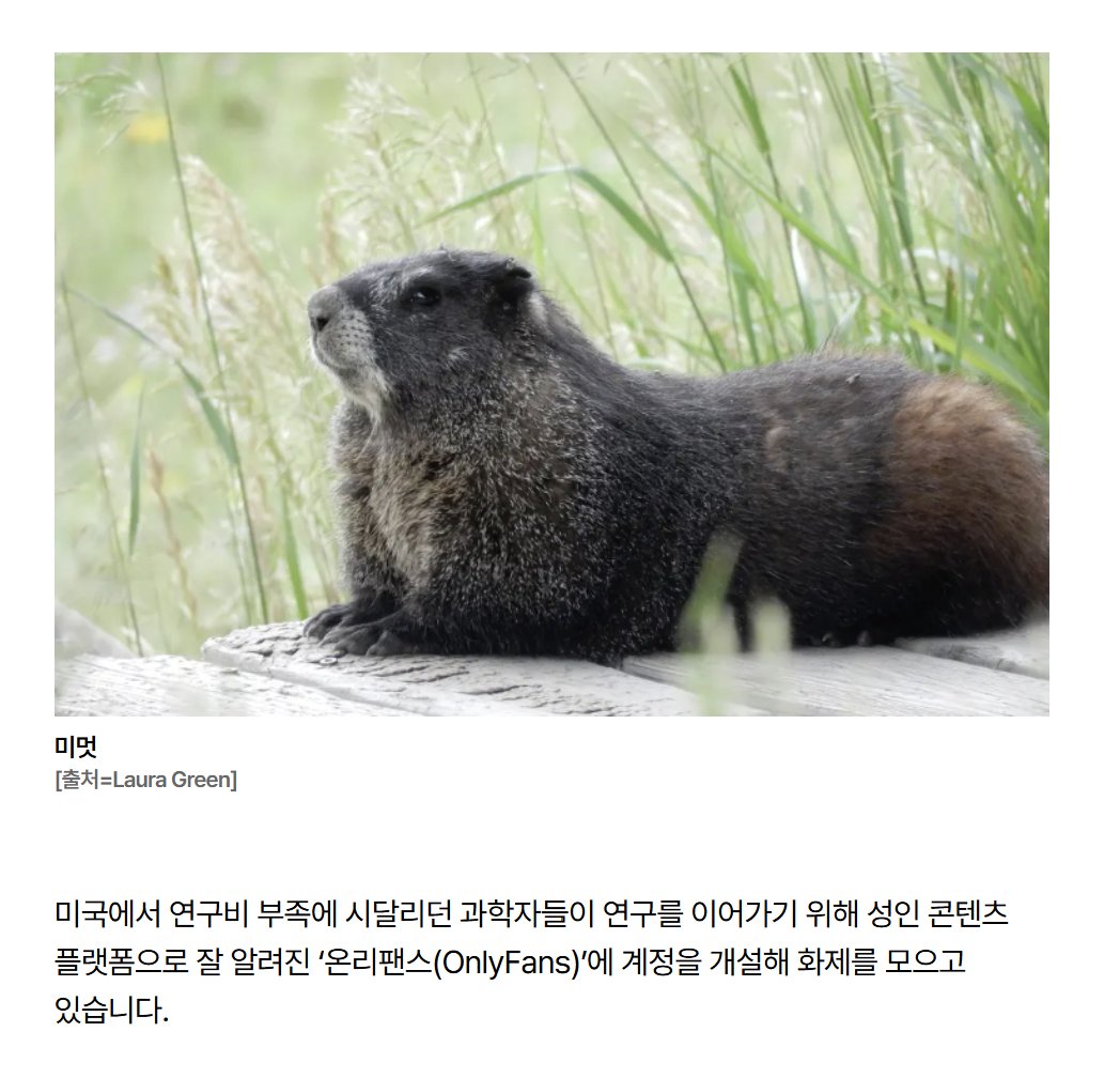 raterm_und's tweet photo. 하ㅆ벌이게뭔소린데
온리팬스로 학계를 일으킨 과학자들 https://t.co/RPaTTXjvZ7