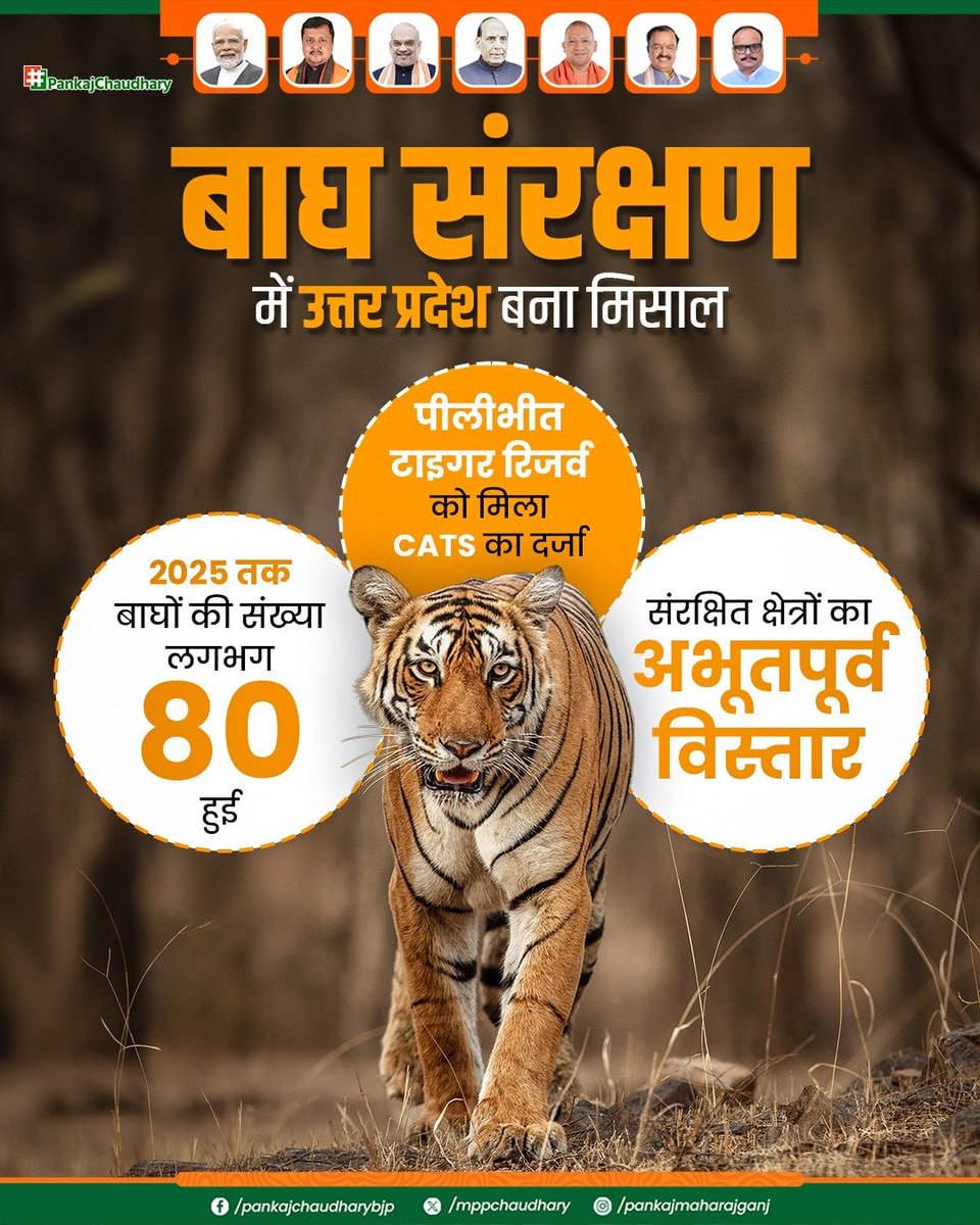 mppchaudhary's tweet photo. भाजपा की डबल इंजन सरकार में उत्तर प्रदेश बाघ संरक्षण के क्षेत्र में कीर्तिमान स्थापित कर रहा है।

रानीपुर टाइगर रिजर्व की ऐतिहासिक सौगात, संरक्षित क्षेत्रों का विस्तार, आधुनिक संरक्षण व्यवस्था और पीलीभीत टाइगर रिजर्व को मिला CATS का दर्जा, ये उपलब्धियाँ उत्तर प्रदेश को बाघ संरक्षण का अग्रणी राज्य बना रही हैं। 

#UPWITHPANKAJCHAUDHARY
#समृद्ध_उत्तर_प्रदेश