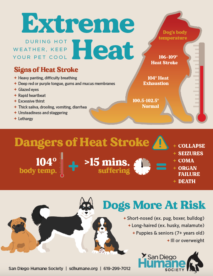 sdhumane's tweet photo. Please keep your animals safe during these extreme heat conditions. When temperatures rise, our pets rely on us to keep them safe. Visit https://t.co/zsEmucC4vn for tips to help your pet beat the heat. https://t.co/IyyxphiIje