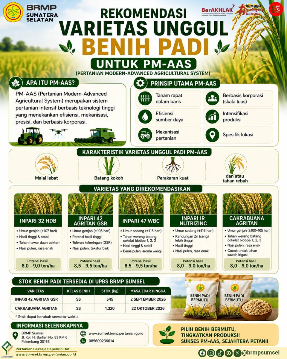 BSIP_SUMSEL2109's tweet photo. Rekomendasi Varietas Unggul Benih Padi untuk PM-AAS πΎ
Keberhasilan Pertanian Modern-Advanced Agricultural System (PM-AAS) diawali dengan pemilihan benih unggul yang tepat.
#brmpsumsel
#brmpkementan
#PMAAS
#PertanianModern
#kitamulaicarabaru https://t.co/Cw4egtkRNM