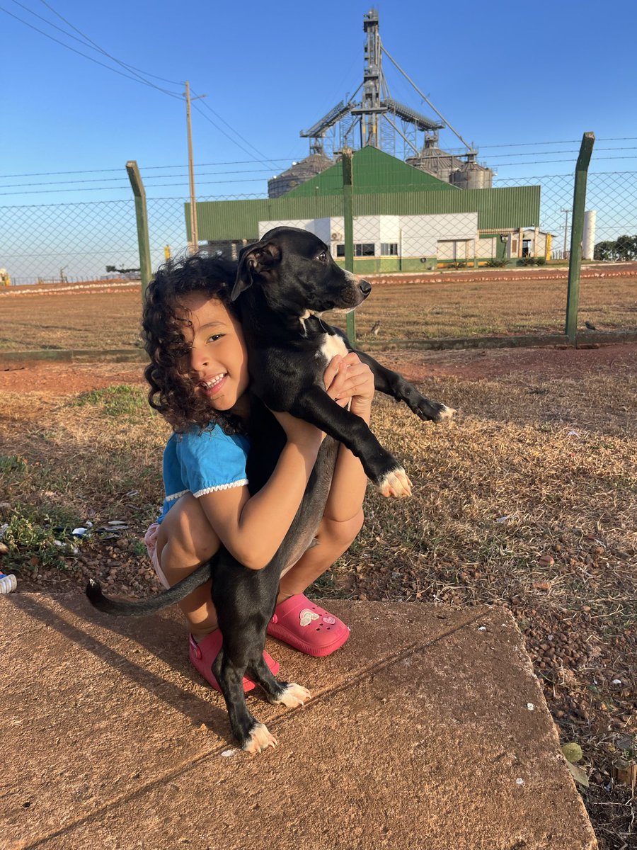 _rlaysa's tweet photo. ❤️🐶 https://t.co/rCokeN6HIW