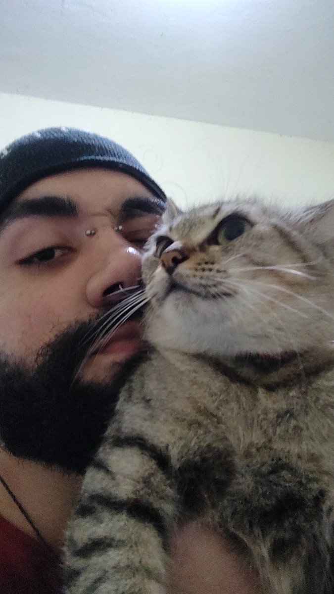 Allanvitor_ls's tweet photo. @poptime Te entendo Jão...
Uma parte de mim ainda quer ser pai, mas seria mais por "tentar ser o pai que eu nunca tive", e isso é muito egoísta. 

(Sou só pai de pet, por enquanto tá bom). https://t.co/wN5PPHzHXl