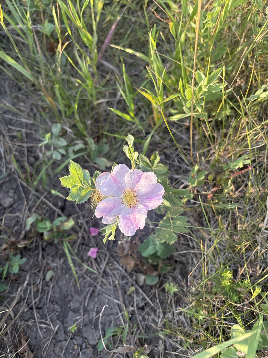 GGGNOMIDDLENAME's tweet photo. Alberta best place in the world 🙂 https://t.co/kq7OCdTALr