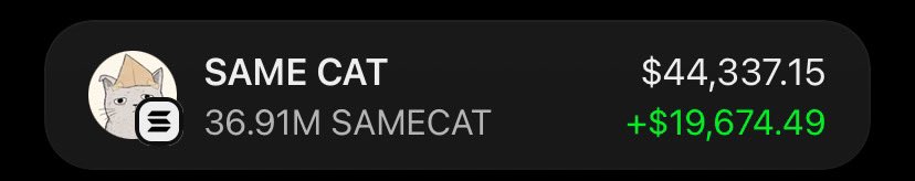 Alpha_calls100's tweet photo. $SAMECAT Is printing massively on my Alpha telegram group 🏆🚀

If you’re in my  tg group your copy trade would have been on same profit as I am.

Ca: beXjn8EghNXnKCucBh1oiRa23rmnrhrpUvPBLPupump https://t.co/qbGk8z8YTh