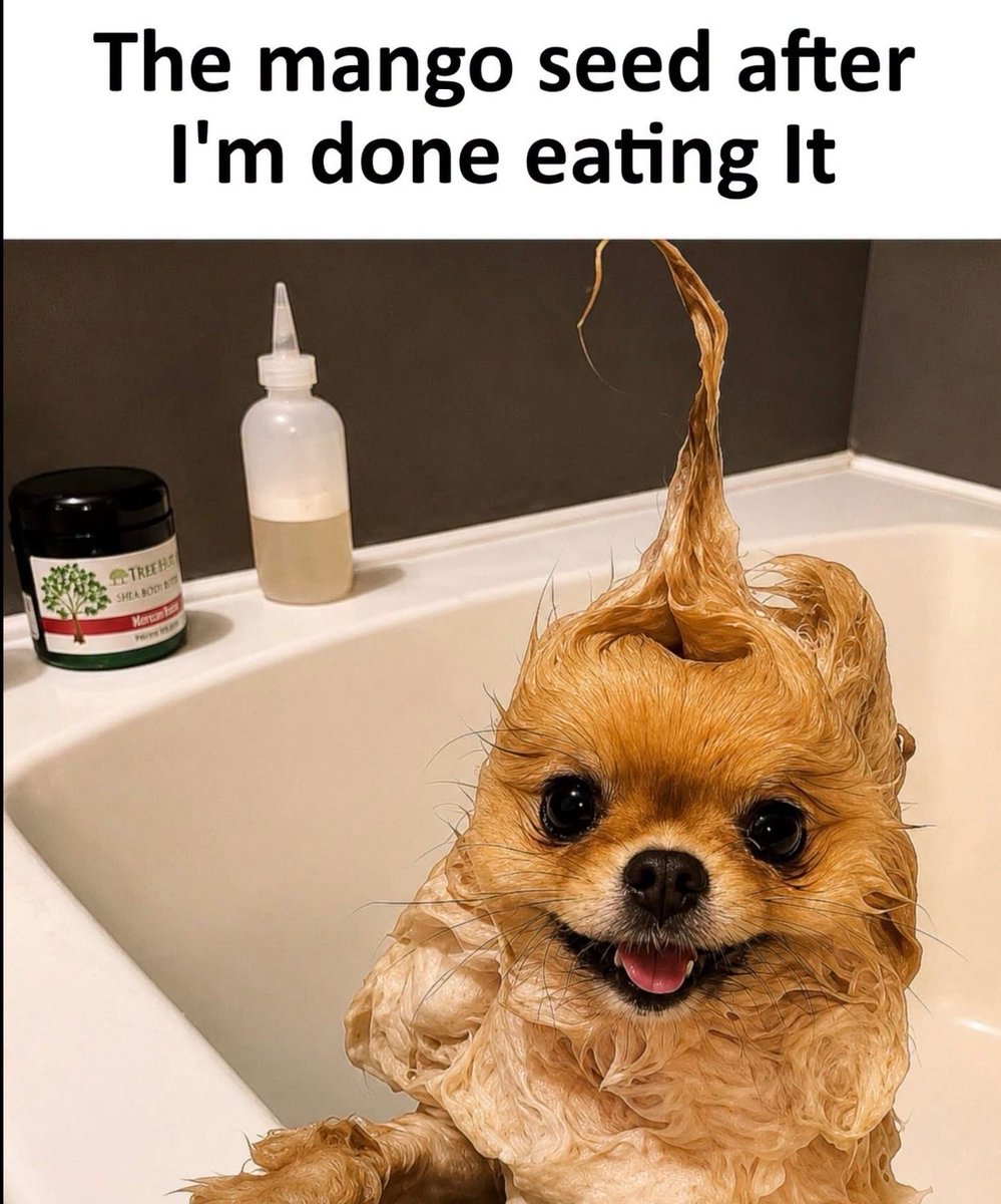 RespectfulMemes's tweet photo. https://t.co/1U0d41GhmN