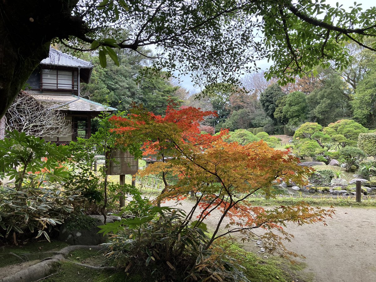 sa26yok's tweet photo. 松濱軒、内田百閒が何度も訪れた場所らしく、内田百閒好きの夫が喜んでいたな。静かで落ち着いたお庭でわたしも好きだった。日奈久の温泉街ものどかで素敵な場所だった。悲しいな、どうして熊本ばかり。 https://t.co/luk8maobfL