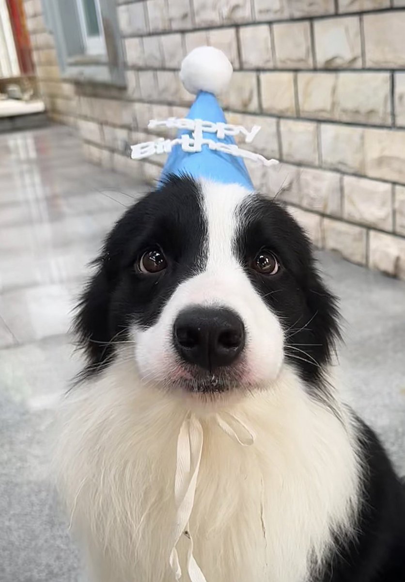 twaniimals's tweet photo. https://t.co/I03rTtyPUU