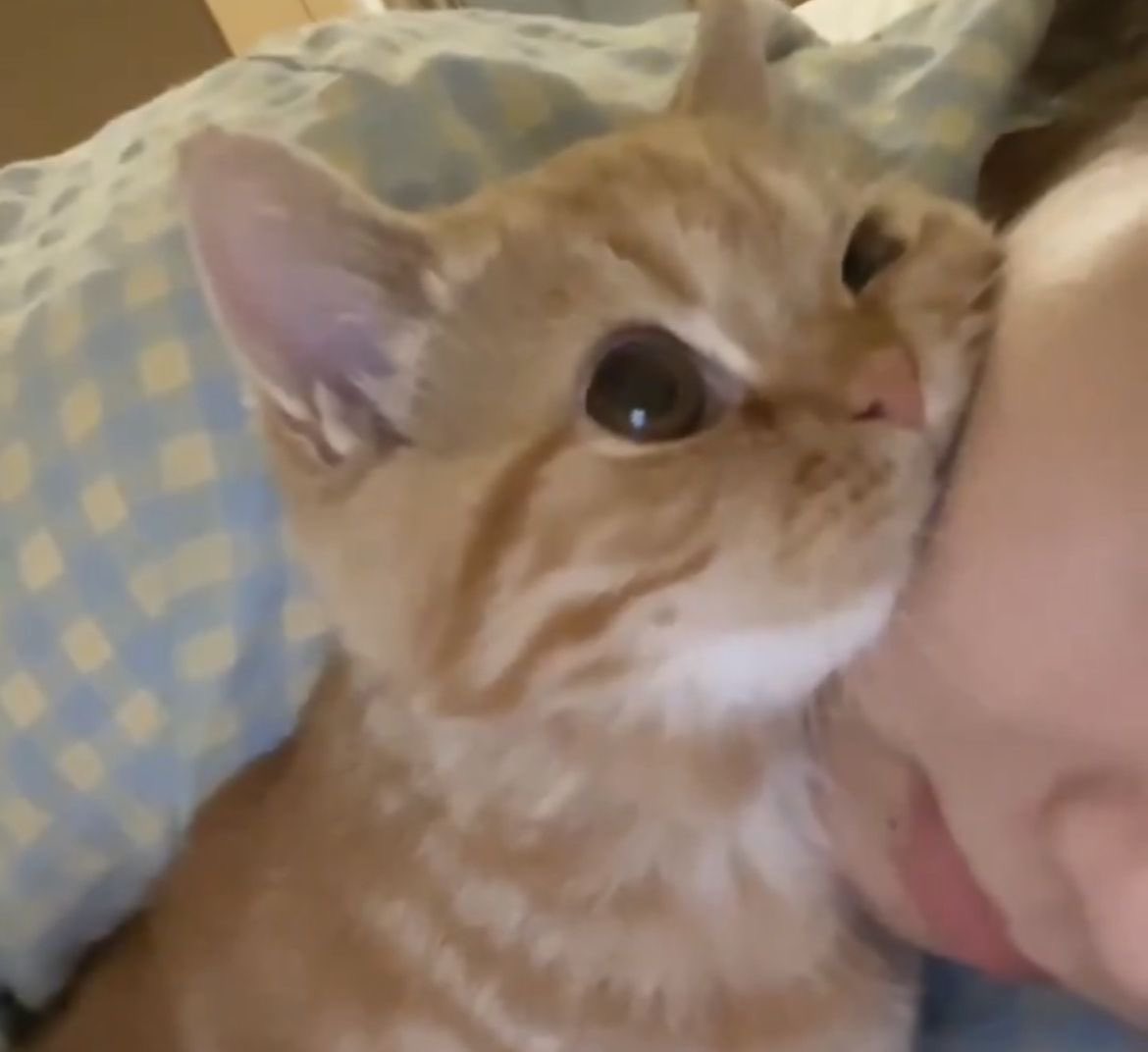 twaniimals's tweet photo. https://t.co/DsKbejsrko