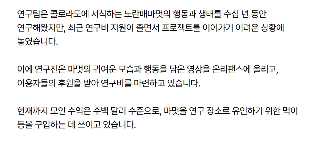 raterm_und's tweet photo. 온리팬스에 마멋 영상 팔아서 수백달러 모았대요 

출처https://t.co/9aWWBQ4VDP https://t.co/tWSmGf1GcL