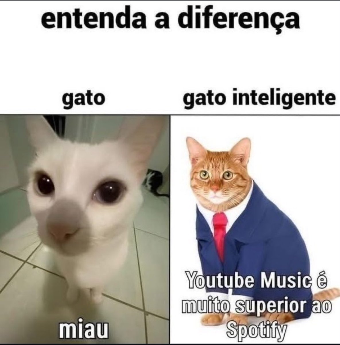 shitpostverdade's tweet photo. https://t.co/6Jq5G5kiia
