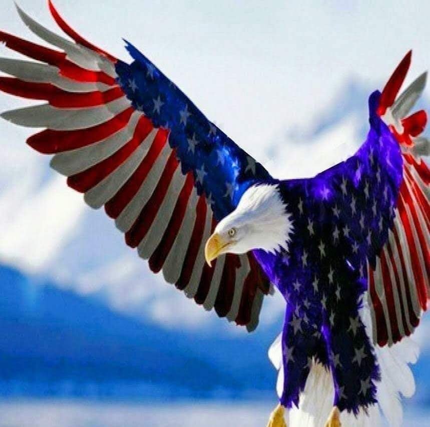 LDOxford's tweet photo. ๐บ๐ธ๐ช๐ป๐บ๐ธ๐ช๐ป๐บ๐ธ๐ช๐ป๐บ๐ธ๐ช๐ปUSA USA USA USA!!! The best is yet to come in 2026!! -LD :) #itsTacoTuesday #America250โฏโค๐บ๐ธ #IFB #MAGA #ImMagaMan #AmericaFirst #TakingAmericaBack #WeThePeople #OneNationUnderGod #PrayForPresTrump #PrayForOurTroops #PrayForIraniansFreedom #CubaisNext #JesusisKing ๐บ๐ธ๐ช๐ป๐บ๐ธ๐ช๐ป๐บ๐ธ๐ช๐ป๐บ๐ธ๐ช๐ป๐บ๐ธ๐ช๐ป #ItsWinWin