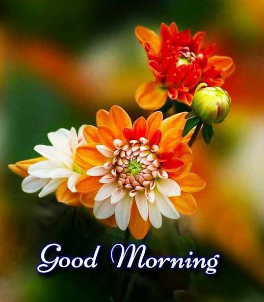 NgbdoYara's tweet photo. Good morning! 🌅
A grateful heart and a determined mind can overcome any challenge.
Focus on your goals, not your obstacles.
Keep showing up, even when progress feels slow.
Your future is being built one day at a time. Have a wonderful day! ☀️ https://t.co/aaj7u45ofv