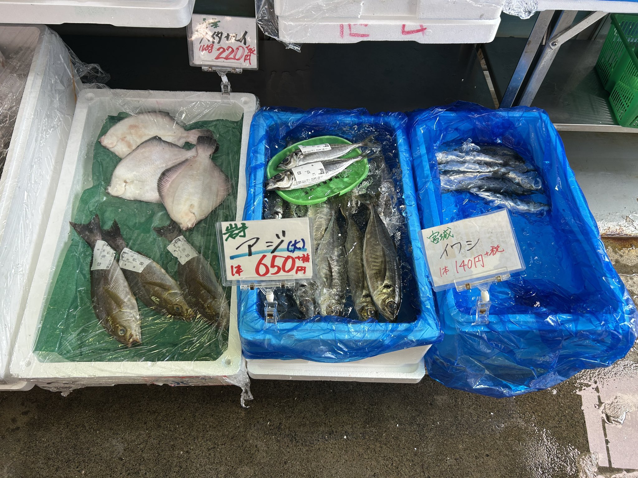 おさかな様確認用ページ X-এ 【本店】武蔵境おさかな家さん南口店: 
