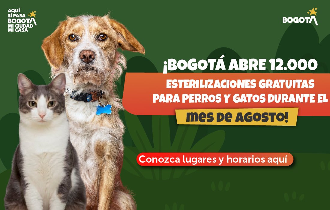 AnimalesBOG's tweet photo. #Atención | Bogotá celebra su cumpleaños con más 12.000 cupos gratuitos de esterilización para perros y gatos.

Aquí te contamos cómo acceder al servicio, requisitos, fechas y ubicación de los puntos móviles.👇

🔗 https://t.co/CdvP70n4pf https://t.co/494IEbZrov