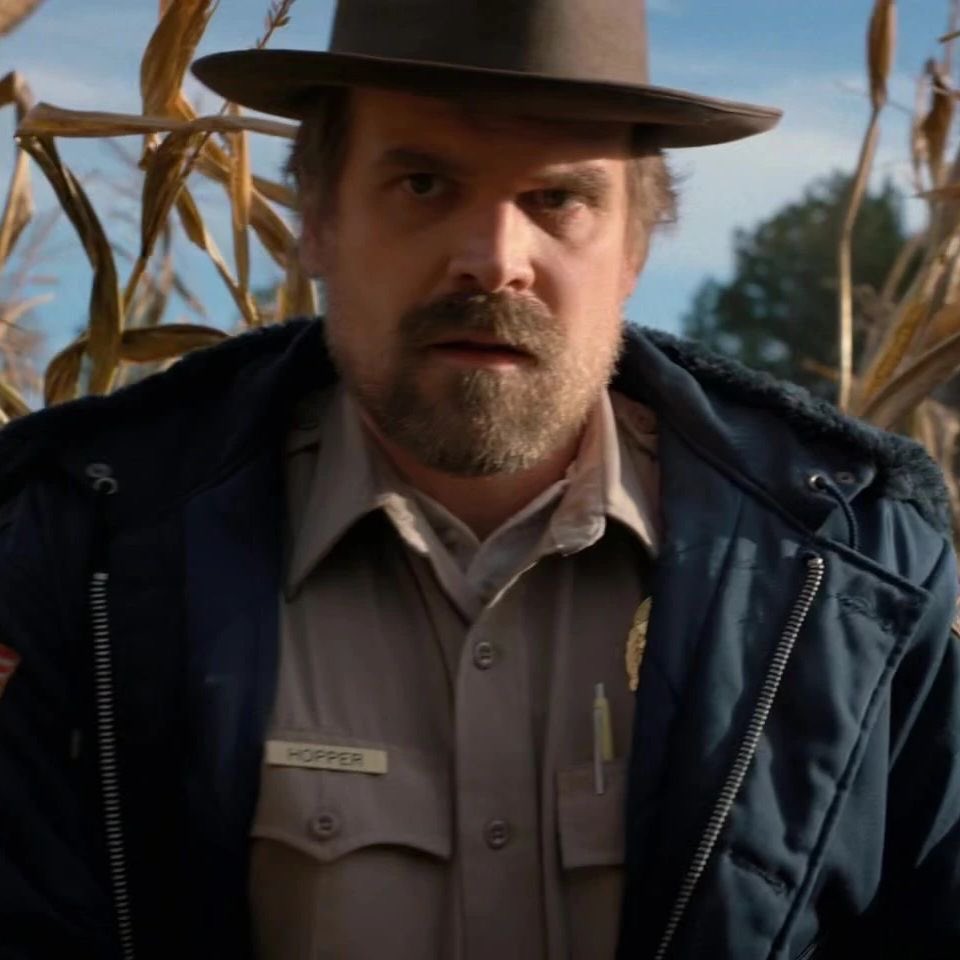 hopslvr's tweet photo. Oh how i miss s2 Jim hopper https://t.co/tqlm5NHfcJ