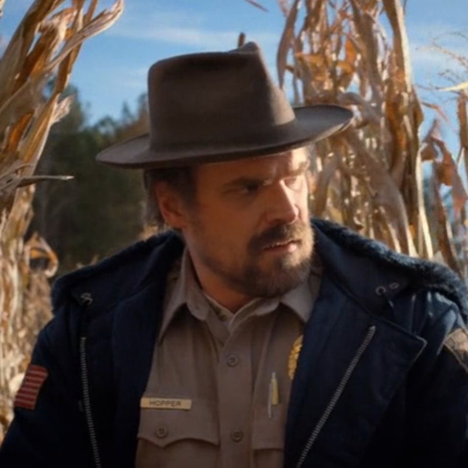 hopslvr's tweet photo. Oh how i miss s2 Jim hopper https://t.co/tqlm5NHfcJ