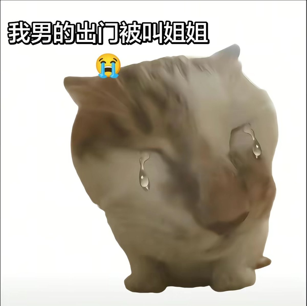 Miraitowa8686's tweet photo. 头发太长了，被小孩叫姐姐了😭 https://t.co/gDpPxIwDpp