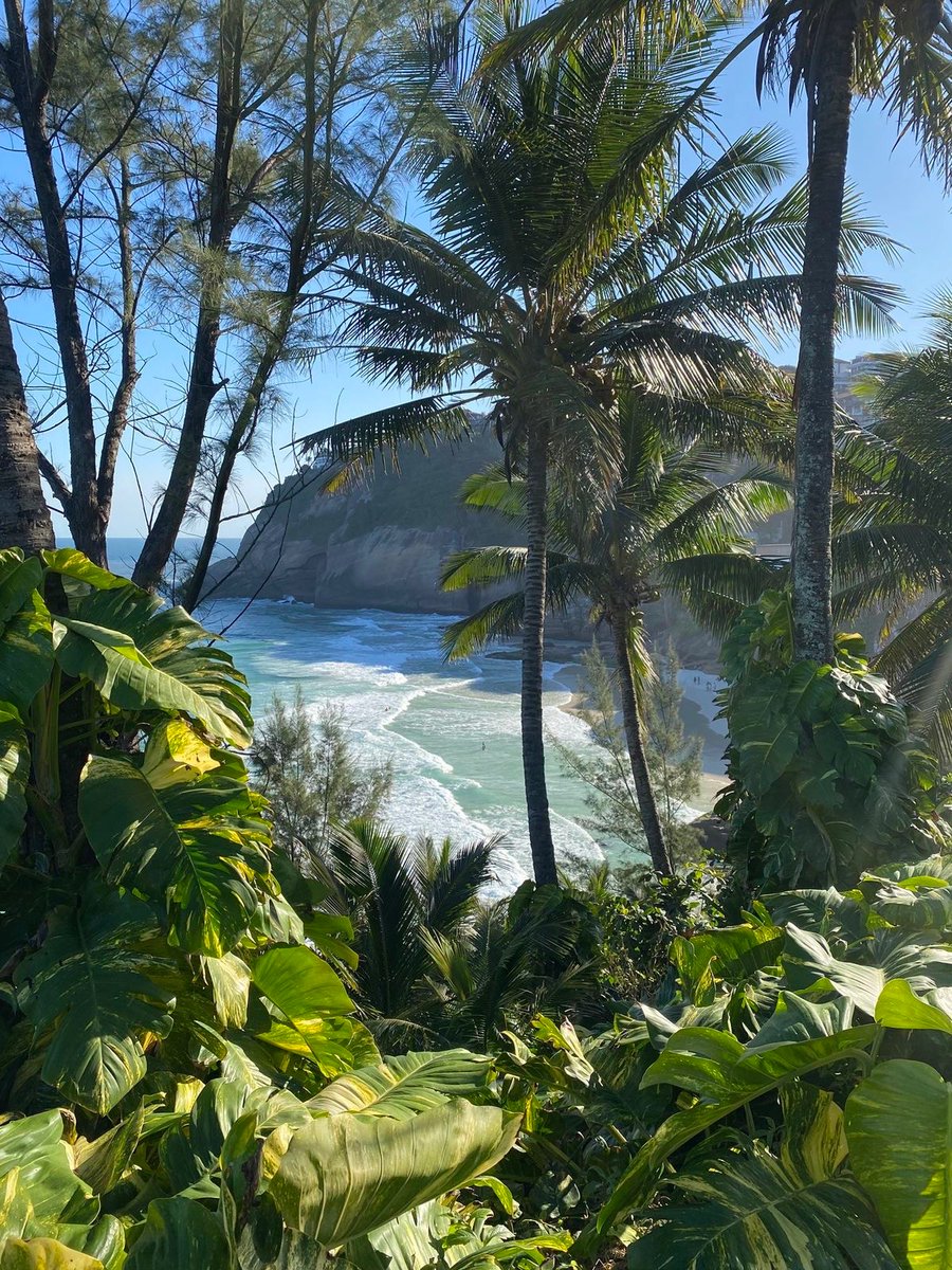 Jim Pacific tweet media
