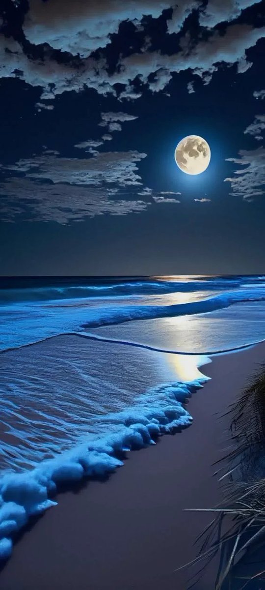 cfc_4_l0's tweet photo. @123ABamm سبحان الله
الحمدلله
لا إله إلا الله
الله أكبر
سبحان الله وبحمده سبحان الله العظيم
استغفر الله العظيم وأتوب إليه
لا حول ولا قوة إلا بالله
.
.

@memdotai 
mem it
Screenshot this 
@pikaso_me
...
.
.
.
.
.
.
.
.
.
.
.
.
.
.
.
.
.
.
.
.
.
.
.
.
.
.
.
.
.
.
.
. https://t.co/MZc93MbMRc